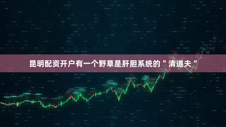 昆明配资开户有一个野草是肝胆系统的＂清道夫＂