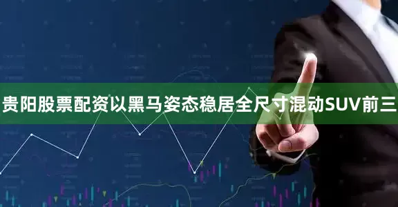 贵阳股票配资以黑马姿态稳居全尺寸混动SUV前三